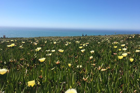 Tour image 8