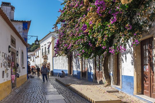 Tour image 5