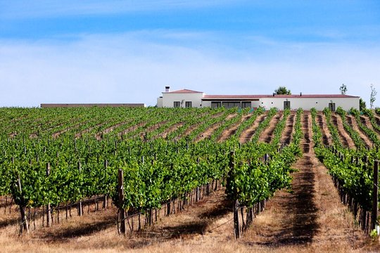 Tour image 5