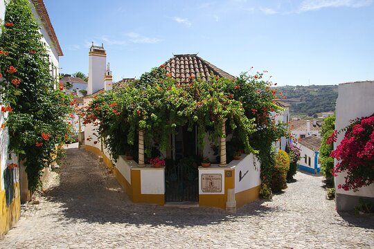 Tour image 12